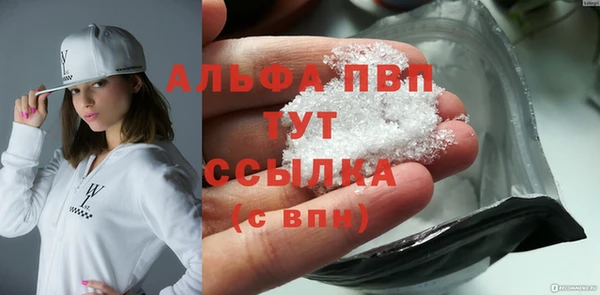прущие грибы Верея