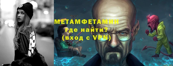 прущие грибы Верея