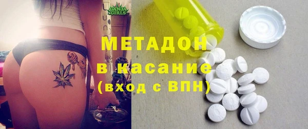прущие грибы Верея