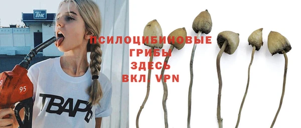 apvp Новокубанск