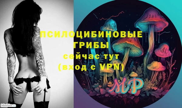 2c-b Верхнеуральск