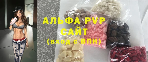 прущие грибы Верея