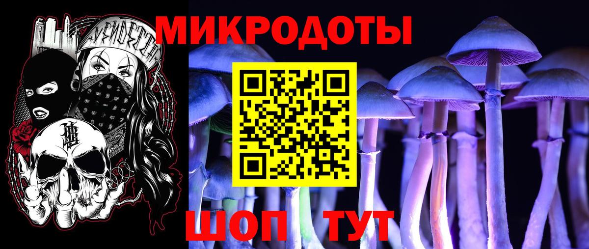Михайловск  Галлюциногенные грибы Cubensis  Вход с VPN 