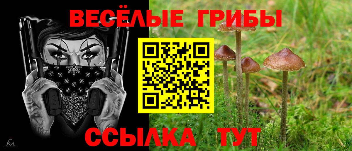 Галлюциногенные грибы MAGIC MUSHROOMS Михайловск