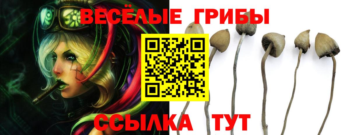 Галлюциногенные грибы мухоморы  Галлюциногенные грибы Psilocybine cubensis  Михайловск 